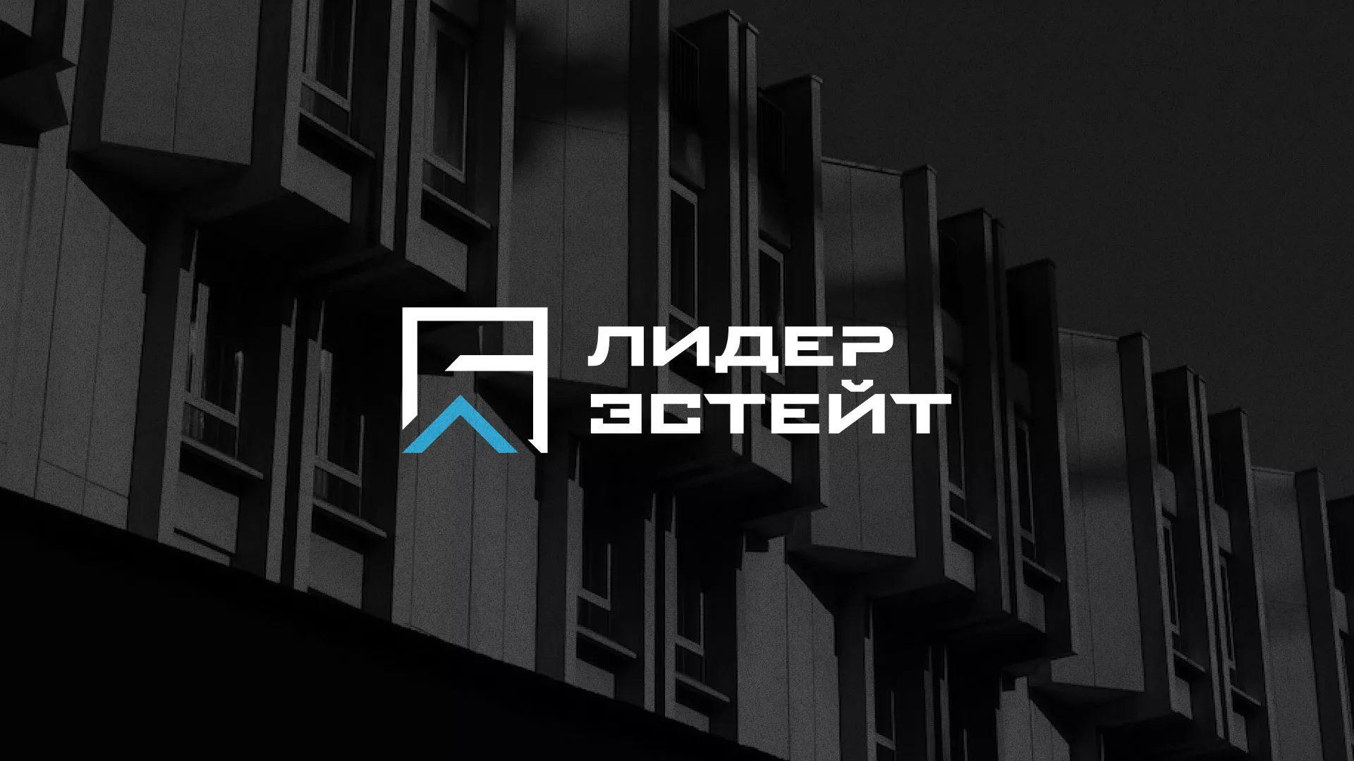 Разработка логотипа агентства недвижимости «Лидер Эстейт» в Жирновске